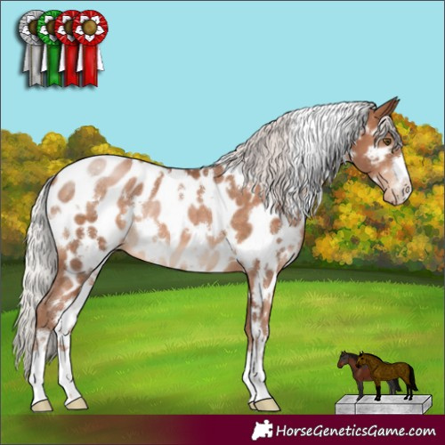 Horse Color:White Spotted Silver Brown Pearl Appaloosa 
