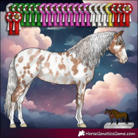 Horse Color:White Spotted Silver Brown Pearl Near Leopard 