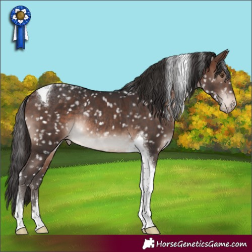 Horse Color:Brown Mushroom Tobiano Snowflake Varnish Rabicano 
