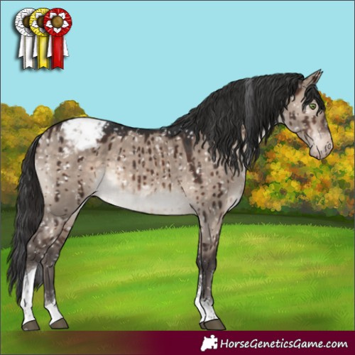 Horse Color:Brown Dun Mushroom Tobiano Appaloosa Brindle