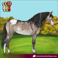 Horse Color:Brown Dun Mushroom Tobiano Appaloosa Brindle