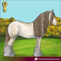 Horse Color:White Spotted Brown Snowdrop Pearl Dun Rabicano Brindle