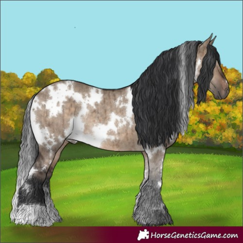 Horse Color:White Spotted Brown Dun Rabicano Brindle