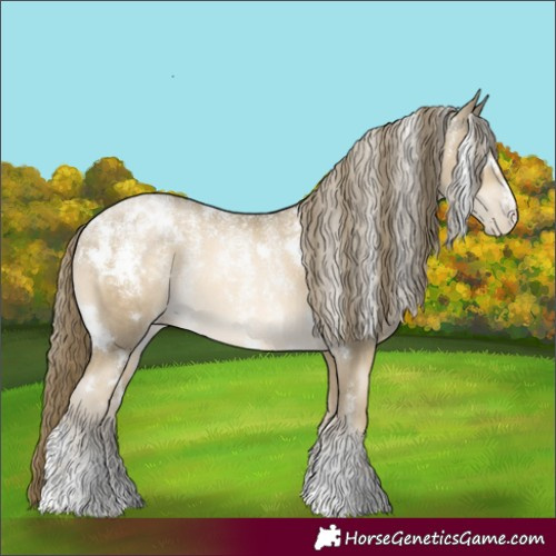 Horse Color:Powder White White Spotted Black Snowdrop Pearl Rabicano 