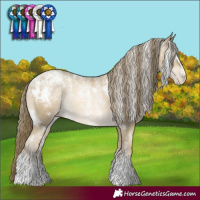 Horse Color:Powder White White Spotted Black Snowdrop Pearl Rabicano 