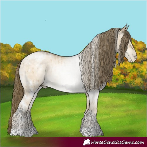 Horse Color:White Spotted Brown Snowdrop Pearl Dun Rabicano Brindle