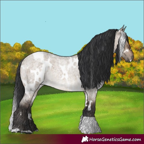 Horse Color:White Spotted Brown Roan Dun Brindle 