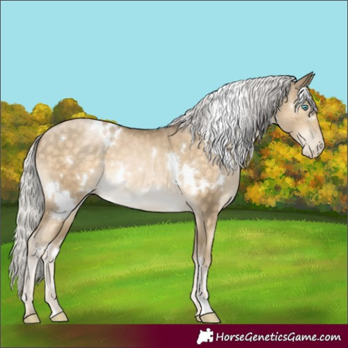 Horse Color:White Spotted Silver Buckskin Pearl 