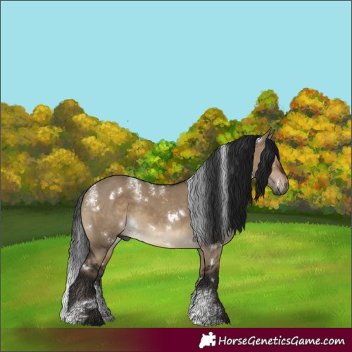 Horse Color:Powder White Gray White Spotted Bay Dun Rabicano 