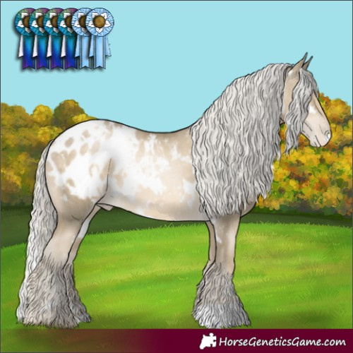 Horse Color:White Spotted Silver Smoky Black Pearl Blanket 