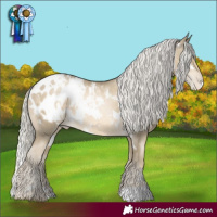 Horse Color:White Spotted Silver Smoky Black Pearl Appaloosa