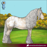 Horse Color:White Spotted Silver Smoky Black Pearl Appaloosa