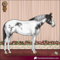 Horse Color:White Spotted Smoky Black Tobiano Frame 