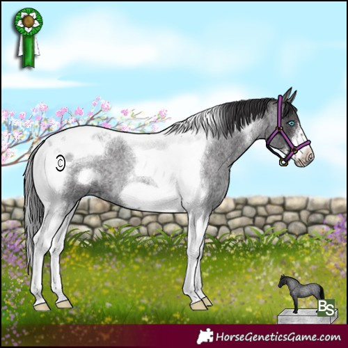 Horse Color:Smoky Blue Roan Tobiano Frame 