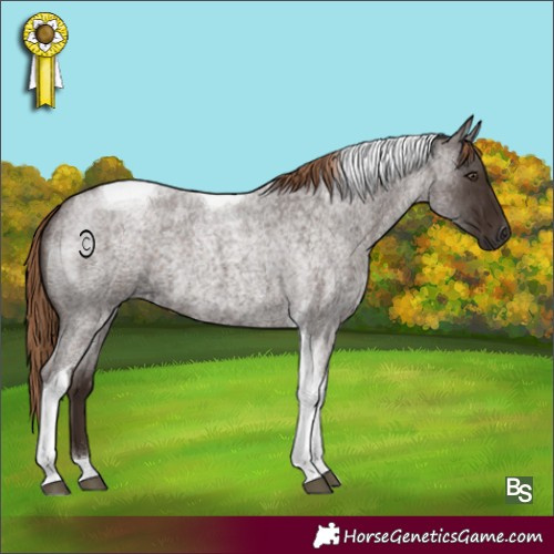 Horse Color:Liver Red Roan Tobiano 