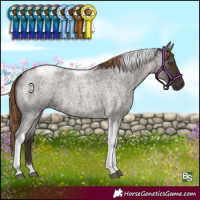 Horse Color:Liver Red Roan Tobiano 