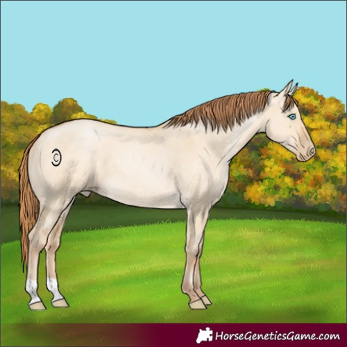 Horse Color:Buckskin Pearl Dun 