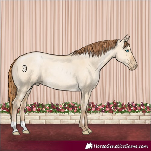 Horse Color:Buckskin Pearl Dun 