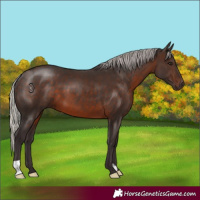 Horse Color:Silver Brown 