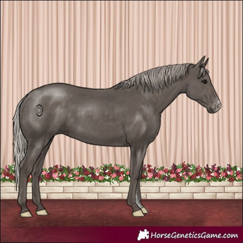 Horse Color:Silver Black Sabino 