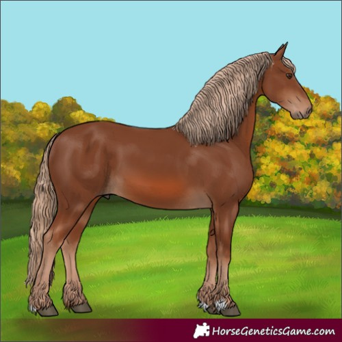 Horse Color:Unknown 