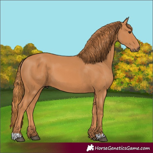 Horse Color:Unknown