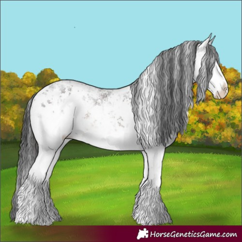 Horse Color:White Spotted Brown Sabino Rabicano 