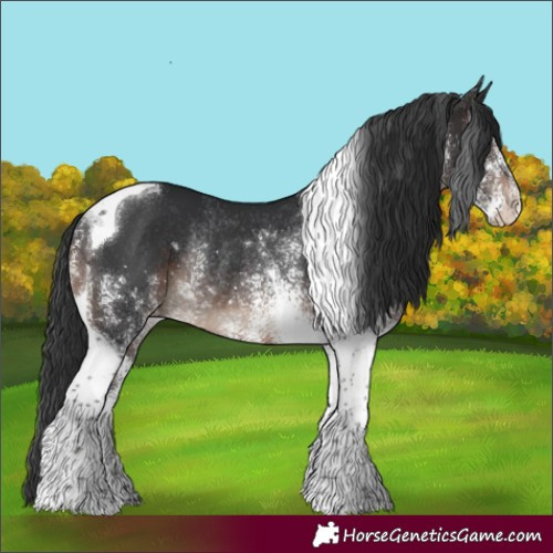 Horse Color:White Spotted Brown Tobiano Appaloosa Rabicano