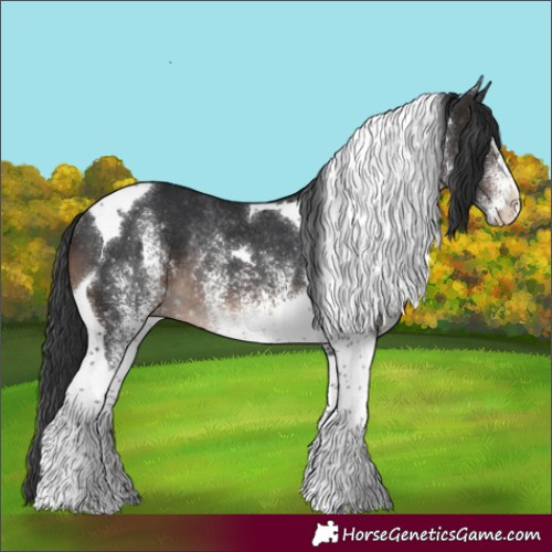 Horse Color:White Spotted Brown Tobiano Appaloosa Rabicano 