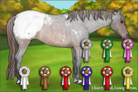 Horse Color:Brown Roan Snowcap 