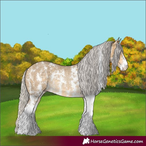 Horse Color:Silver Sable Cream Champagne Sabino Rabicano 