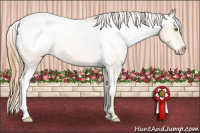Horse Color:Gold Champagne Snowcap