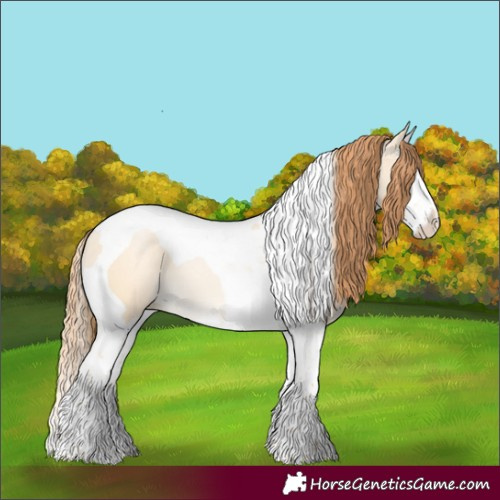 Horse Color:Buckskin Pearl Dun Splash Tobiano 