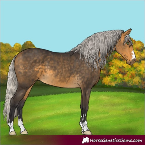 Horse Color:Unknown 