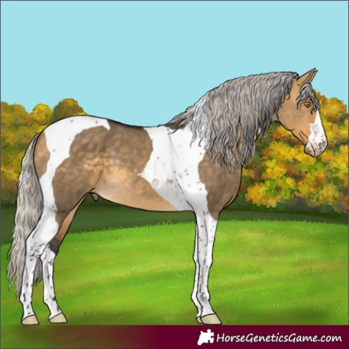 Horse Color:Silver Buckskin Dun Tobiano 