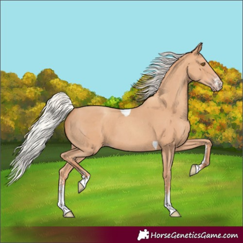Horse Color:Silver Classic Champagne Sabino Tobiano 