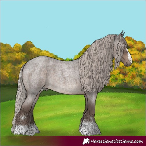 Horse Color:Silver Blue Roan 