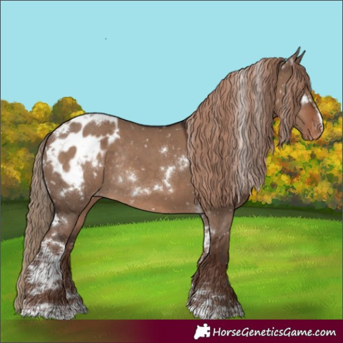 Horse Color:White Spotted Liver Red Dun Appaloosa Rabicano 