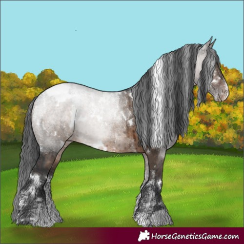Horse Color:Powder White White Spotted Brown Dun Appaloosa Brindle 