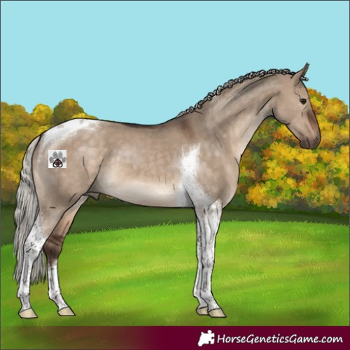 Horse Color:Silver Brown Dun Tobiano 