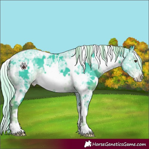 Horse Color:Watercolor White Spotted Liver Chestnut Ice