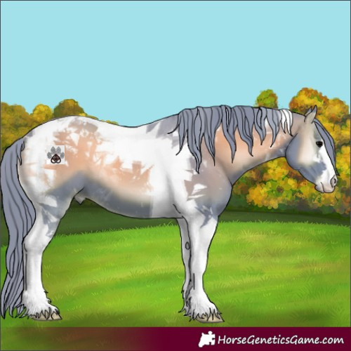 Horse Color:Watercolor Blue Onyx Tobiano 