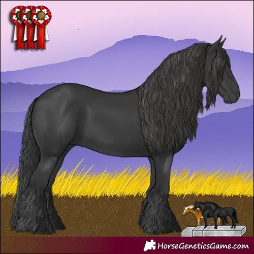 Horse Color:Black 