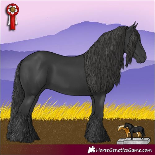 Horse Color:Black 