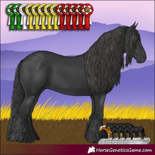 Horse Color:Black 