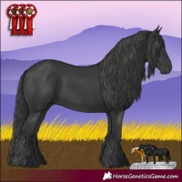 Horse Color:Black 