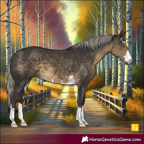 Horse Color:Silver Smoky Black 