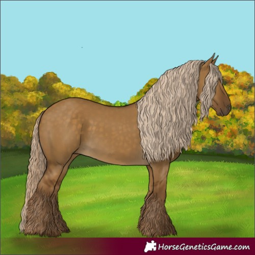 Horse Color:Chocolate Palomino Dun Rabicano 