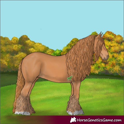 Horse Color:Chestnut 