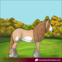 Horse Color:Red Dun Frame 
